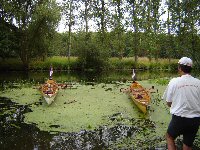 Klicke für großes Bild