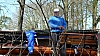 Regatta_mit_Einlagen_17042010_0085
