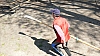 Regatta_mit_Einlagen_17042010_0120