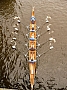 Hamburger_Staffelrudern_Juni_2010_0042