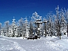 100_6651.jpg