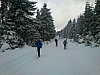 DSC_0478.jpg